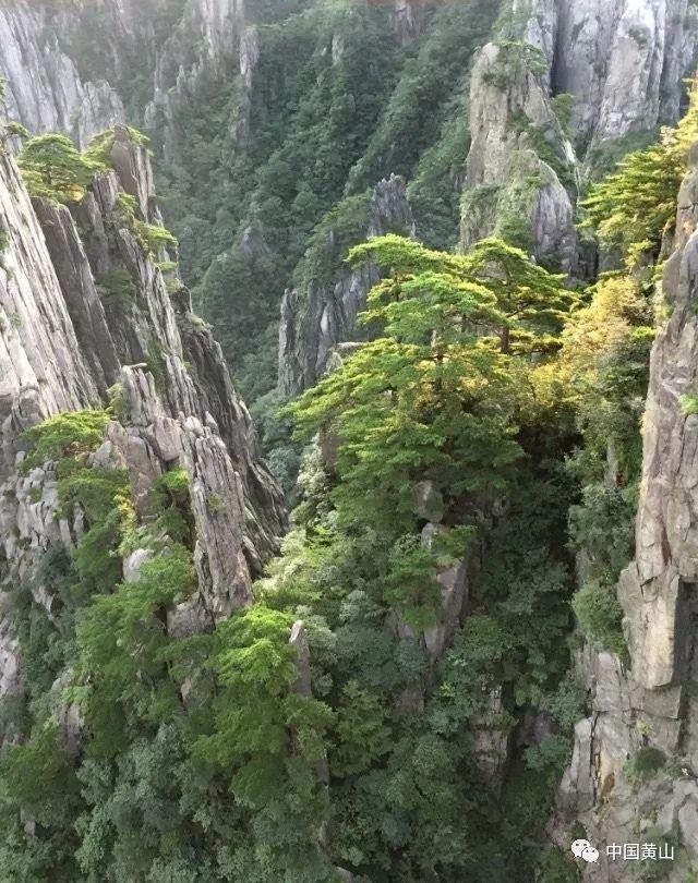 翻转立方体